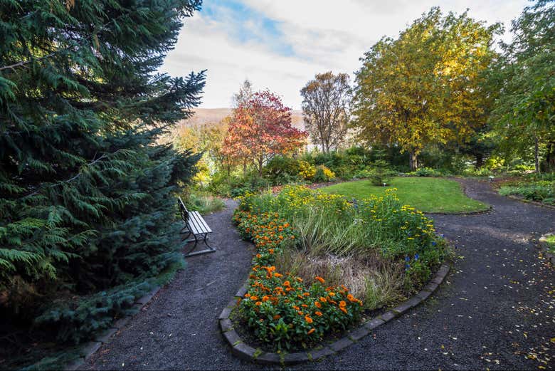 Flores y plantas del jardín