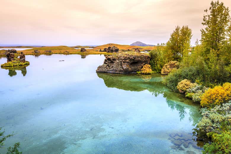 Lago Mývatn