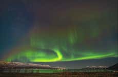 Tour dell'aurora boreale + Avvistamento di balene