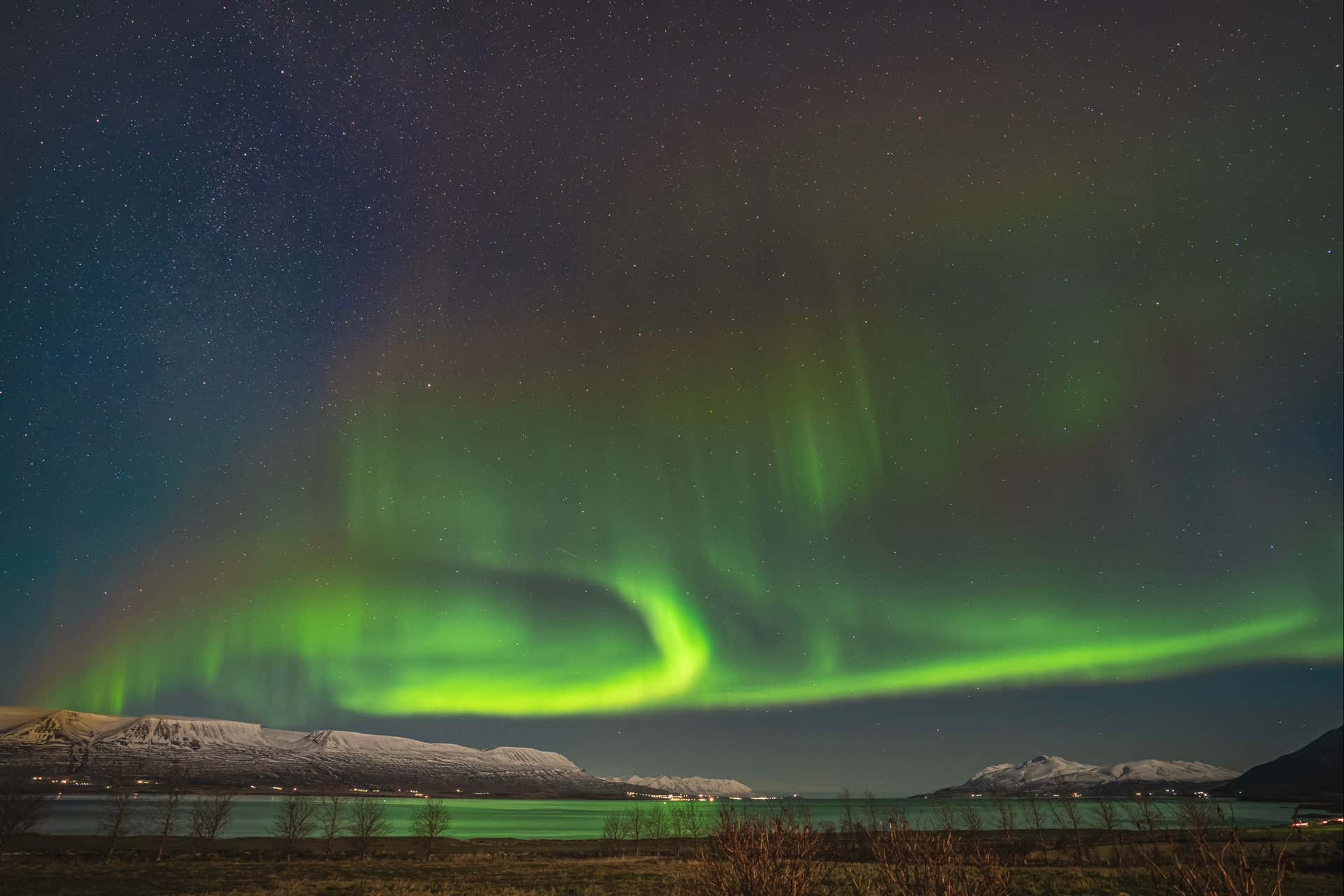 Tour dell'aurora boreale + Avvistamento di balene