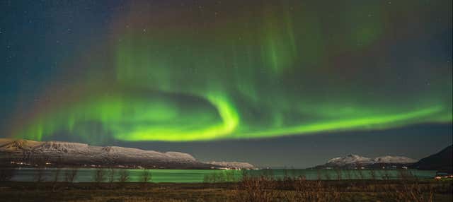 Tour de la aurora boreal