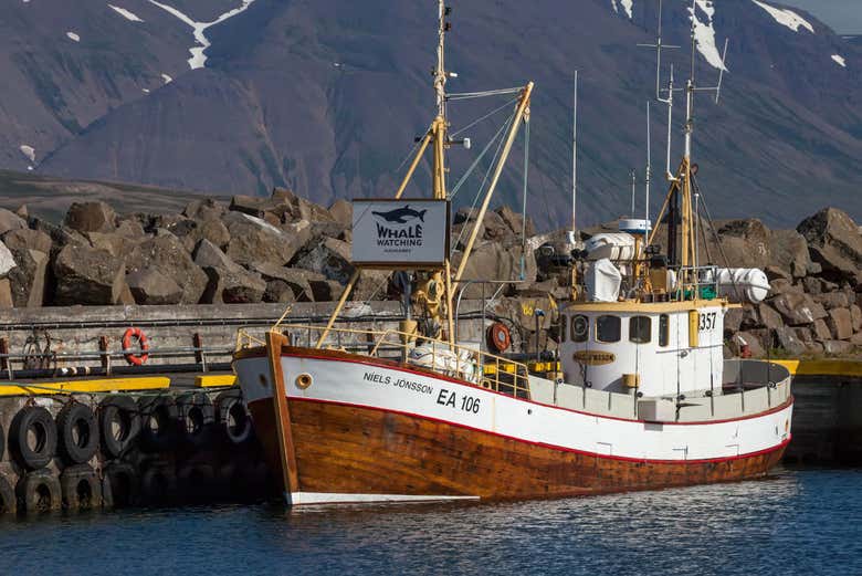 Whale watching boat