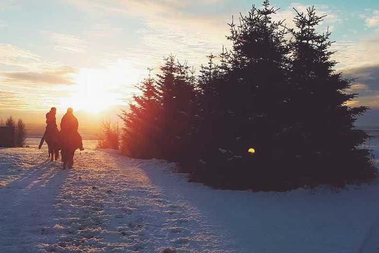 Paseando en caballo con nieve