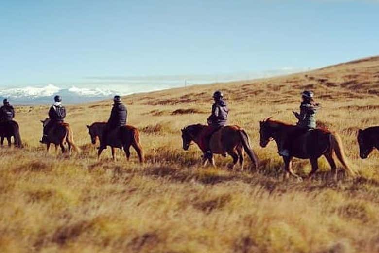 Paseo a caballo por las montañas