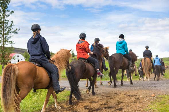 Paseo a caballo por las montañas de Hella