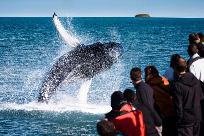 Ballena saltando junto a personas