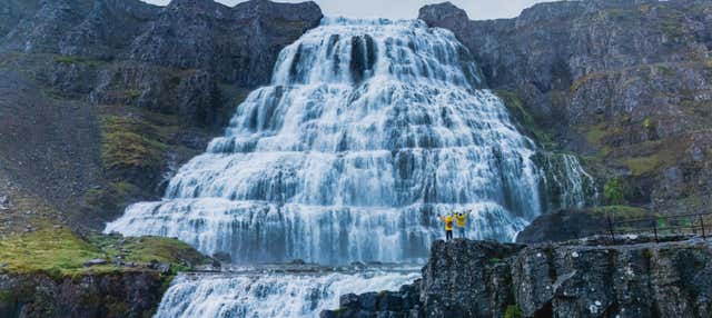 Cascata Dynjandi + Visita a un allevamento di cavalli islandesi per croceristi