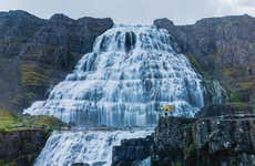 Cascada Dynjandi + Visita a una granja de caballos islandeses para cruceros