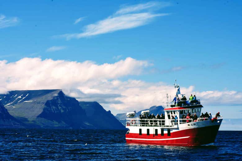 Enjoying the Icelandic landscapes from the boat