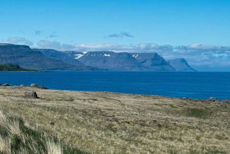 Ísafjarðardjúp Fjord