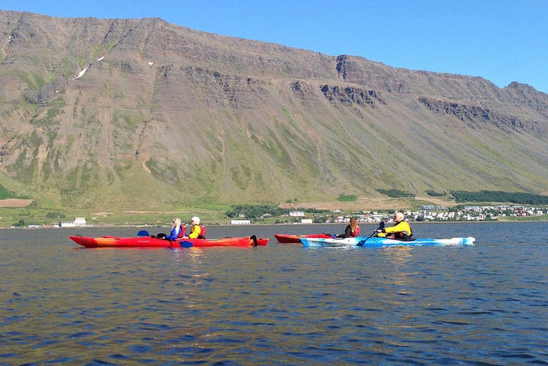 Tour della baia di Ísafjörður in kayak