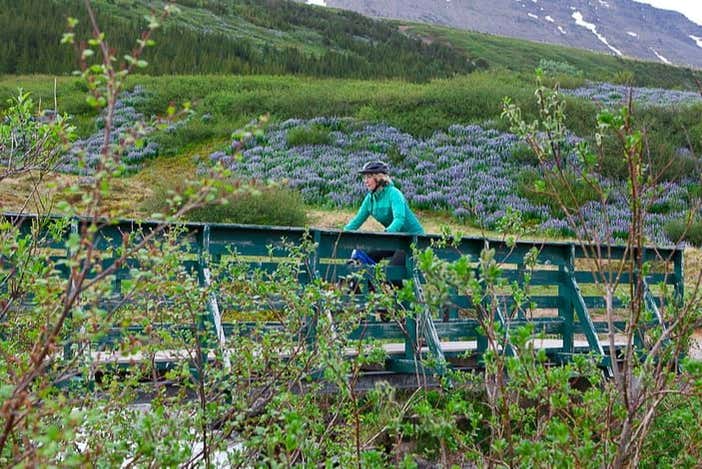 Westfjords Bike Tour