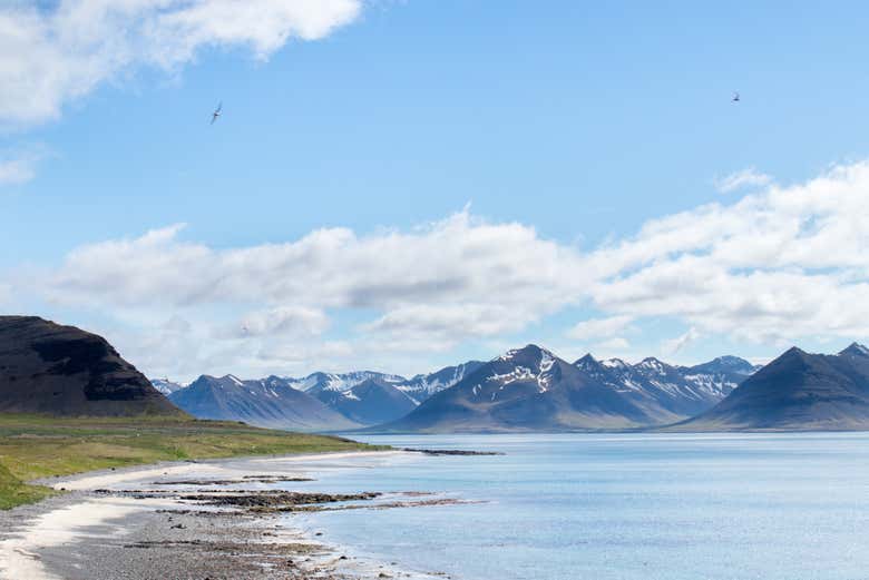 La costa de Dýrafjörður