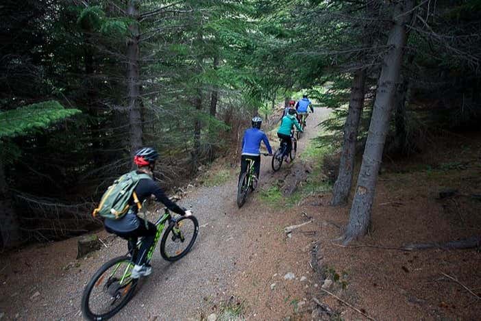 Cycling through the forest