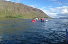 Tour de bicicleta e caiaque pelos Westfjords