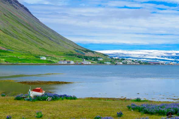 Tour pelos Westfjords para cruzeiros