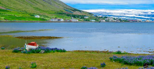 Tour pelos Westfjords para cruzeiros