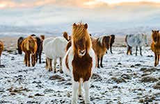 Borgarfjörður Eystri