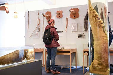 Musée du Phallus d'Islande