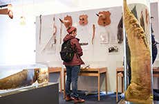 Museo fallologico islandese