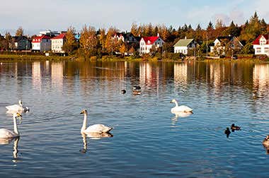 Lac Tjörnin