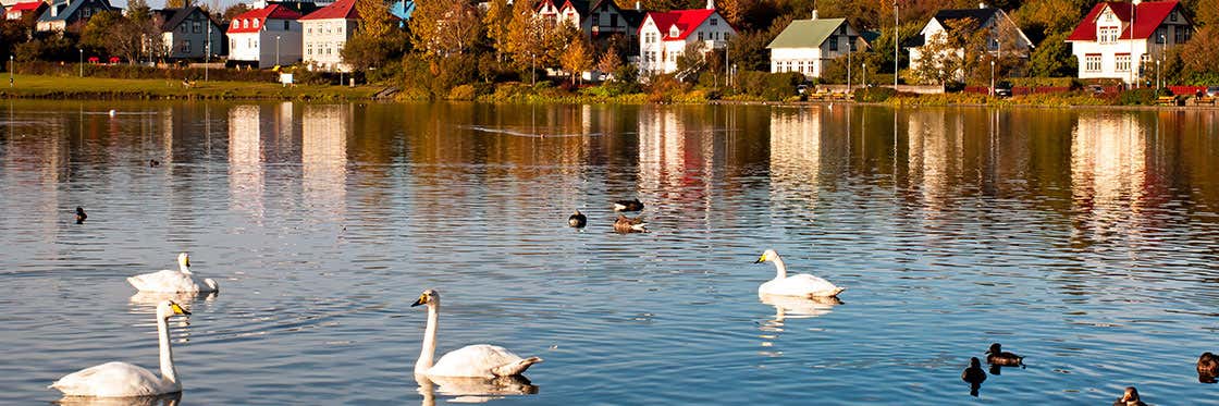 Tjörnin Lake