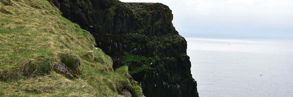 Látrabjarg
