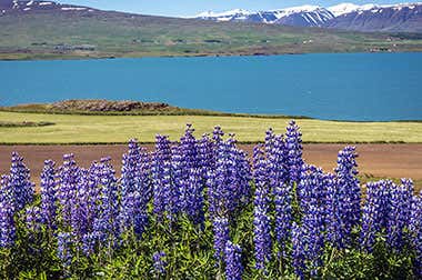 Pollurinn Hot Springs