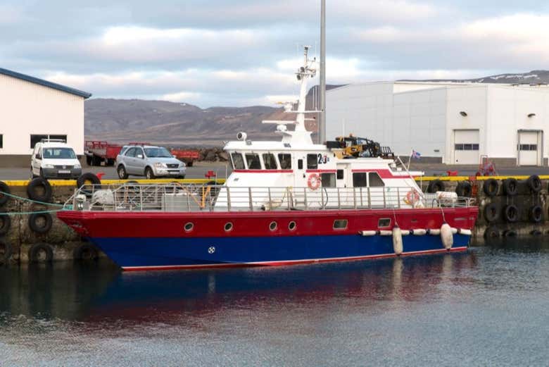 Paseo en barco por Ólafsvík