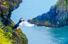 Látrabjarg & Raudasandur Day Trip
