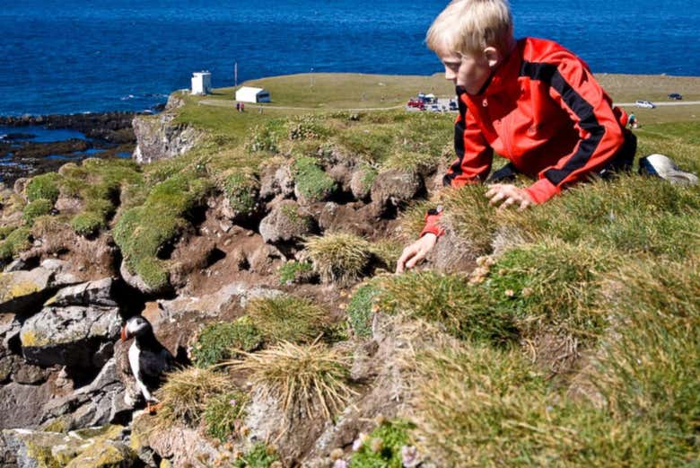 Explore Látrabjarg