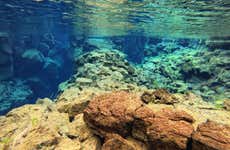 Círculo de Oro + Snorkel en Silfra