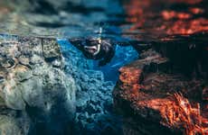 Silfra Snorkelling & Golden Circle Tour