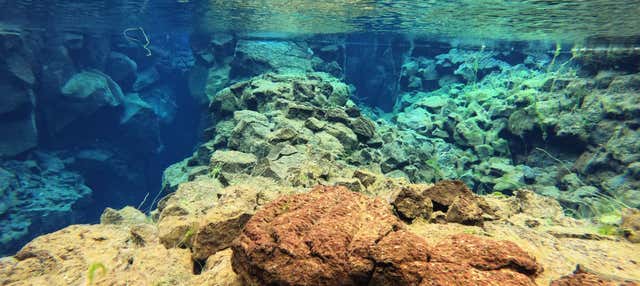 Círculo de Oro + Snorkel en Silfra