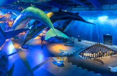 Entrada a Whales of Iceland