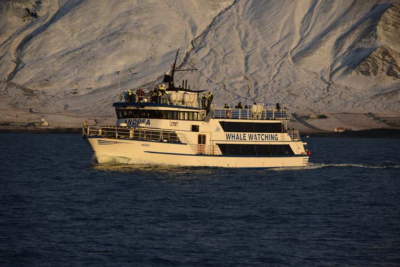 Disfrutaremos de una increíble travesía por la bahía Faxaflói