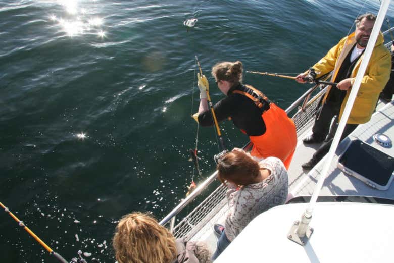 Aula de pesca em Reykjavík