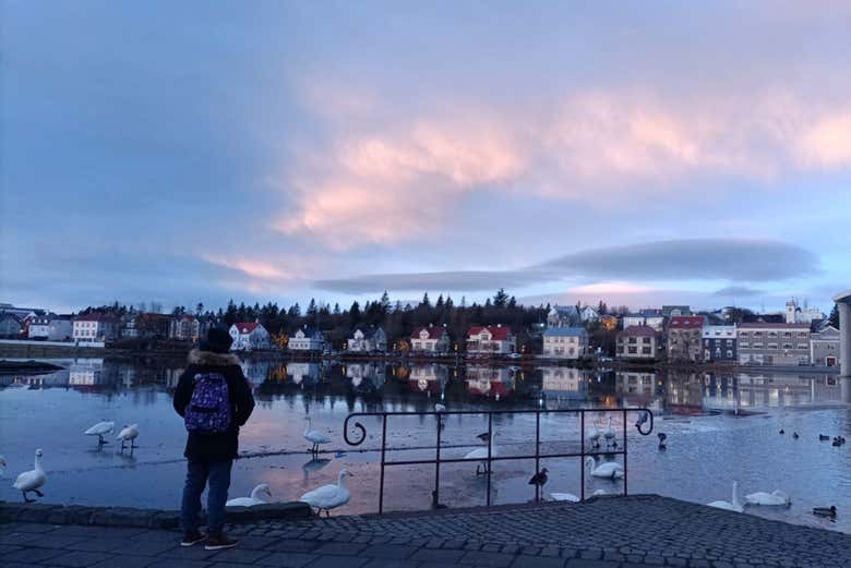 Contemplando el lago Tjornin