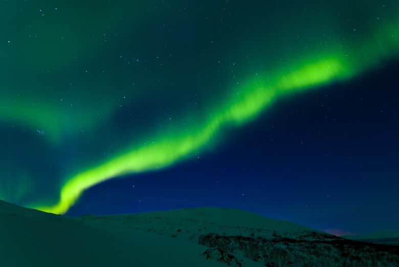 Podréis captar unas bellas instantáneas