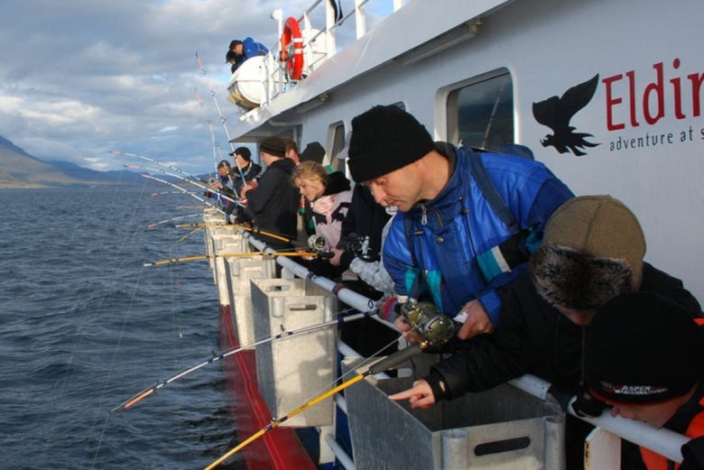 A bordo del peschereccio a Reykjavík