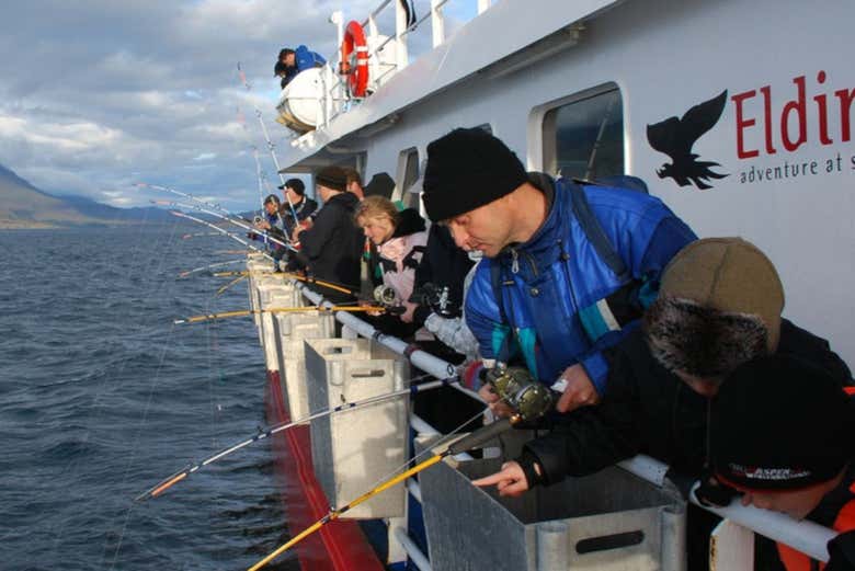 Disfrutando de un día de pesca en Reikiavik