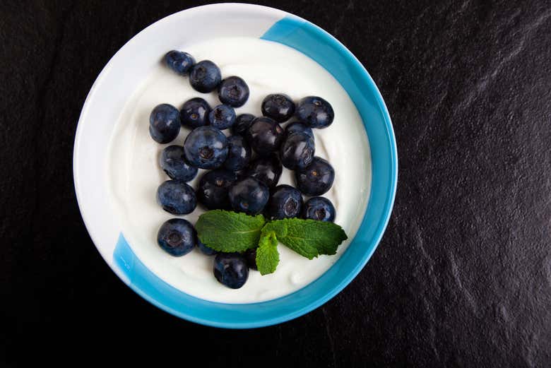 Probando el skyr islandés