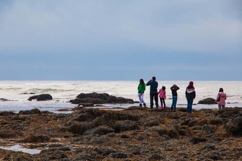 Explore the rocky coast with your family