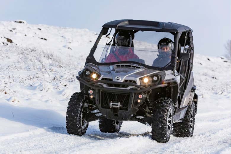 Buggy through the snow