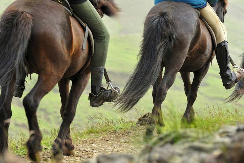 Horse riding around the Golden Circle