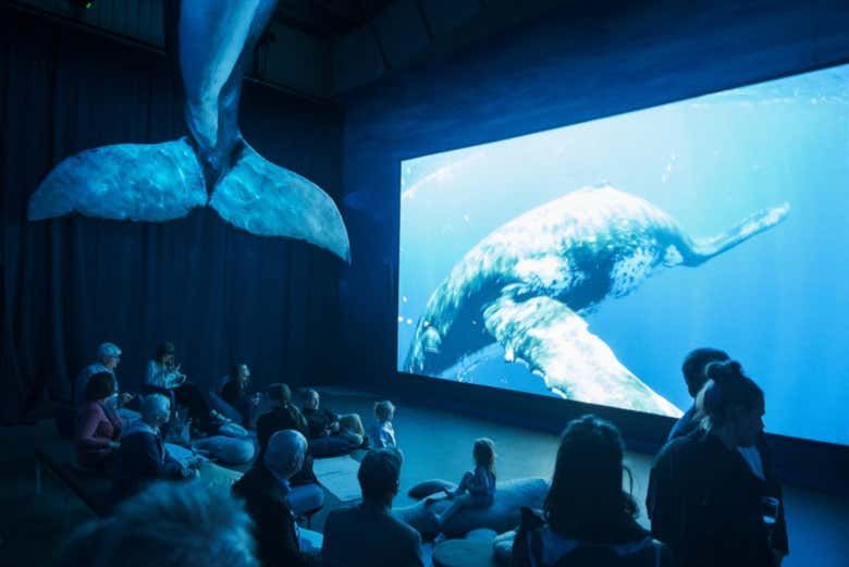 Mostra di balene a Reykjavík 