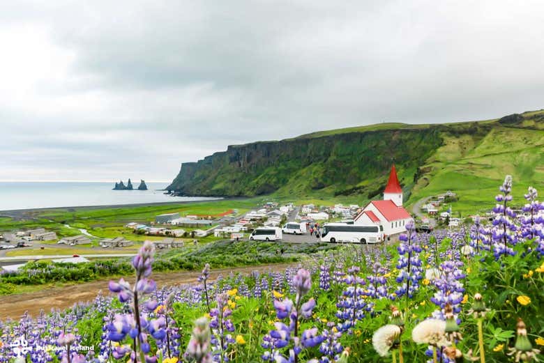 Vik