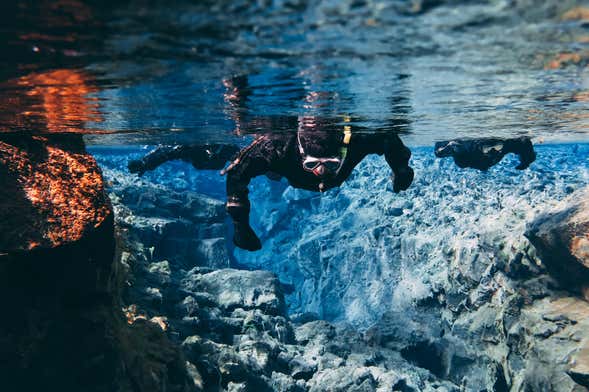 Silfra Fissure Snorkelling & Whale Watching