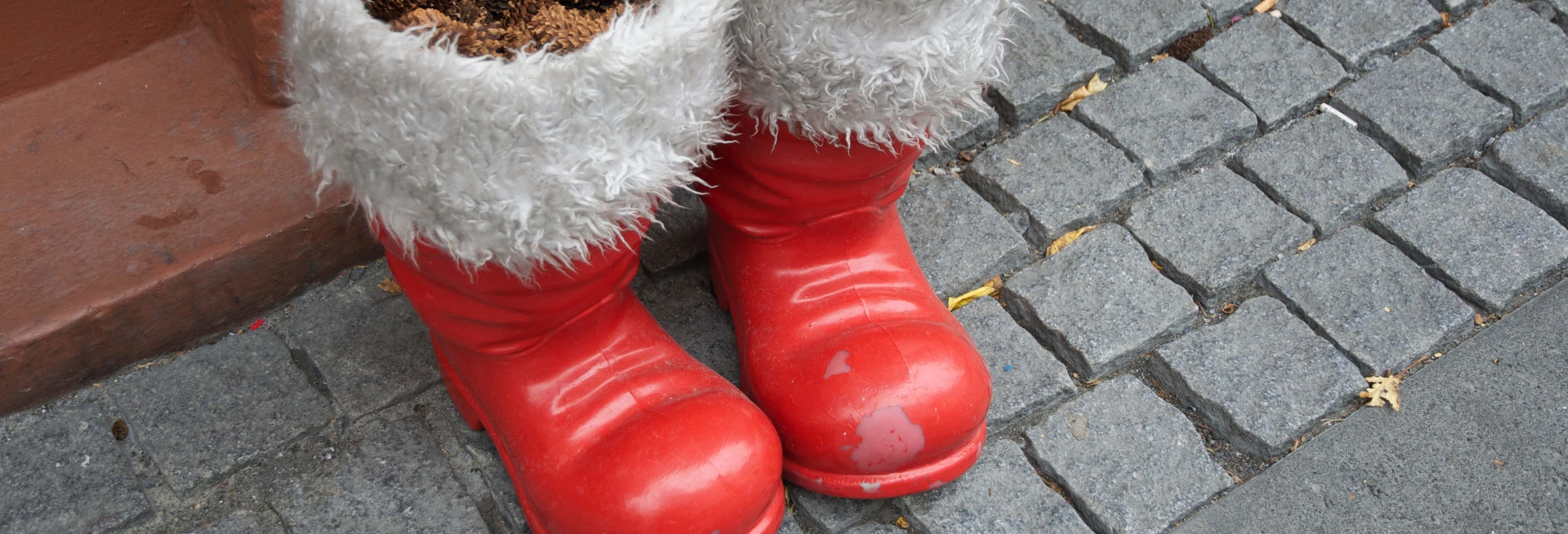 Visitas guiadas y free tours en Reikiavik