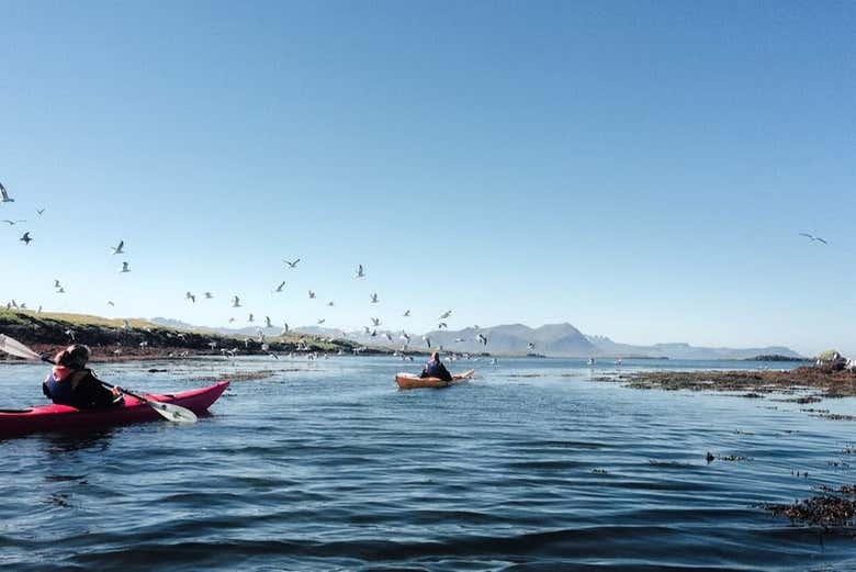 Paysage pendant l'activité